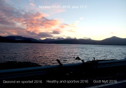 2 0 1 6